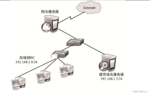DNS域名解析服务的数据分析与存储优化